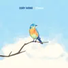 Bluebird (feat. Chris Thile) - Single album lyrics, reviews, download