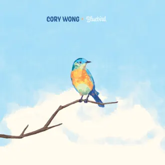 Bluebird (feat. Chris Thile) - Single by Cory Wong album reviews, ratings, credits