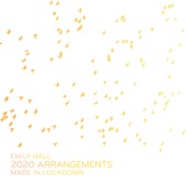 4.05 (2020 Arrangement) artwork