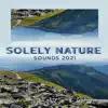 Solely Nature Sounds 2021: Ambient Melodies of Woodland, Ocean, Winter, Rain, Relaxing Nature, Without Instruments album lyrics, reviews, download