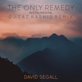 The Only Remedy (Instrumental) [DJ Taz Rashid Remix] artwork