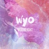 Moonlight - Single