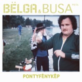 Pontyfénykép (feat. Busa Pista) artwork