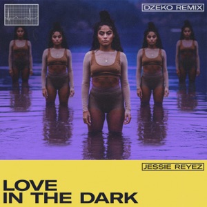 LOVE IN THE DARK (Dzeko Remix) - Single