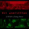 Not AmeriKKKan - Single album lyrics, reviews, download