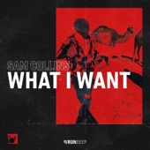 What I Want (Extended Mix) artwork