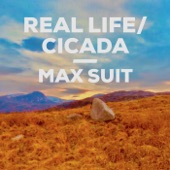 Real Life / Cicada artwork