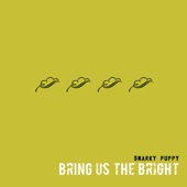 Snarky Puppy - Strange Dream