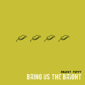 Bring Us The Bright - Snarky Puppy