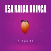 Esa Nalga Brinca artwork