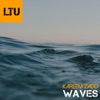 Waves - Single, 2021