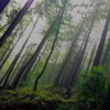 Diverr - Saturday At Noon