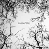 Random Forest - See the Storm