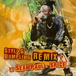 DUMPLING cover art