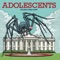 Lion's Share - Adolescents lyrics