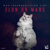 Elon On Mars artwork