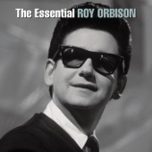 Roy Orbison - Working For the Man