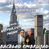Bacalao Embrujao (feat. Hector Luis Pagan) artwork