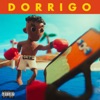 Dorrigo - Single