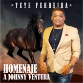 Homenaje A Johnny Ventura artwork