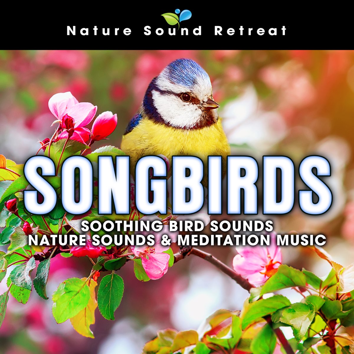 ‎Songbirds: