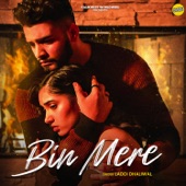 Bin Mere artwork