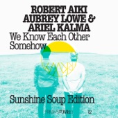 FRKWYS Vol. 12 - We Know Each Other Somehow (Sunshine Soup Edition) artwork