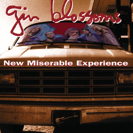 Art for Hey Jealousy by Gin Blossoms