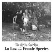 Female Species - Till the Moon Don’t Shine