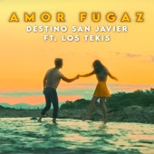 Amor Fugaz (feat. Los Tekis) artwork
