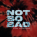 Not so Bad - Stone Van Brooken