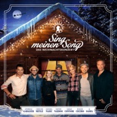 Sing meinen Song - Das Weihnachtskonzert artwork