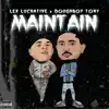 Stream & download Maintain (feat. Doughboy Tony) - Single