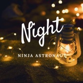 Night (Instrumental) artwork