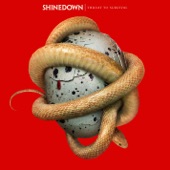 Shinedown - How Did You Love