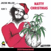 Natty Christmas (2020 Remastered) [feat. Inner Circle] artwork
