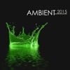 Ambient 2015