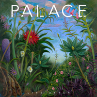 Palace - Life After artwork