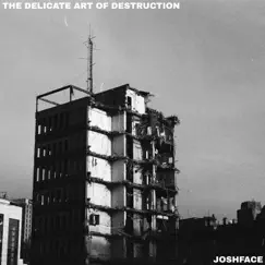 The Delicate Art of Destruction by Joshface album reviews, ratings, credits