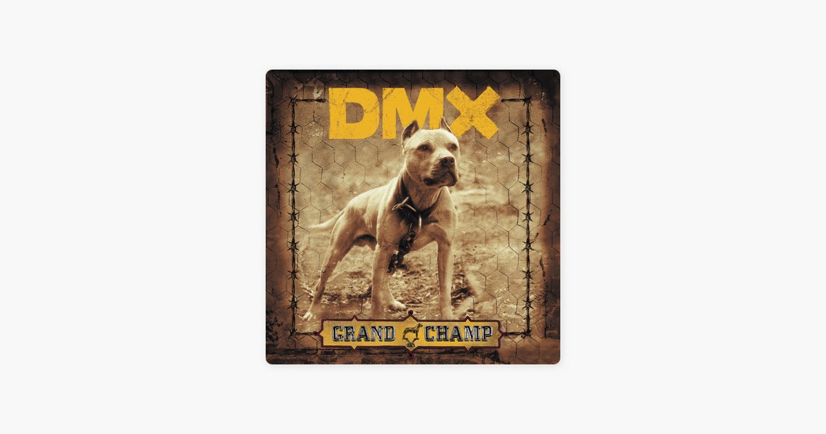 Dmx rain. DMX альбомы. DMX - where the Hood at. DMX Grand Champ. DMX Dog картинки.