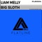 Big Sloth - Liam Melly lyrics