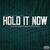 Hold It Now (feat. Snoop Dogg) artwork