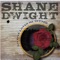 Shakin' - Shane Dwight lyrics