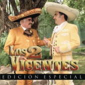 Vicente Fernandez - Cuando Manda el Corazón