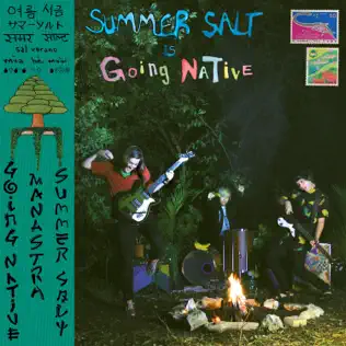 lataa albumi Summer Salt - Going Native