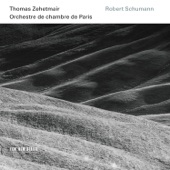 Violin Concerto in D Minor, WoO 23: II. Langsam (Live at Théâtre des Champs-Elyseés, Paris - 2014) artwork