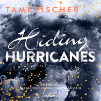 Tami Fischer - Hiding Hurricanes - Fletcher University 3 artwork