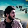 Waleed Wajahat - Tere Jaane Se