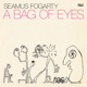 A BAG OF EYES cover art