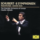 Schubert: Symphony No. 8 "Unfinished" - Grand Duo, Vol. 4 artwork
